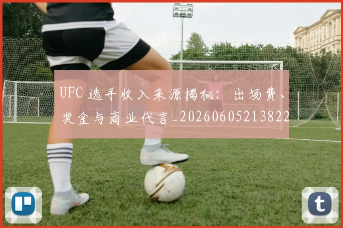 UFC 选手收入来源揭秘：出场费、奖金与商业代言_20260605213822