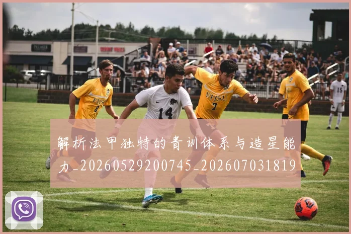 解析法甲独特的青训体系与造星能力_20260529200745_20260703181946